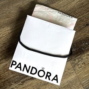 Pandora Gift Bag